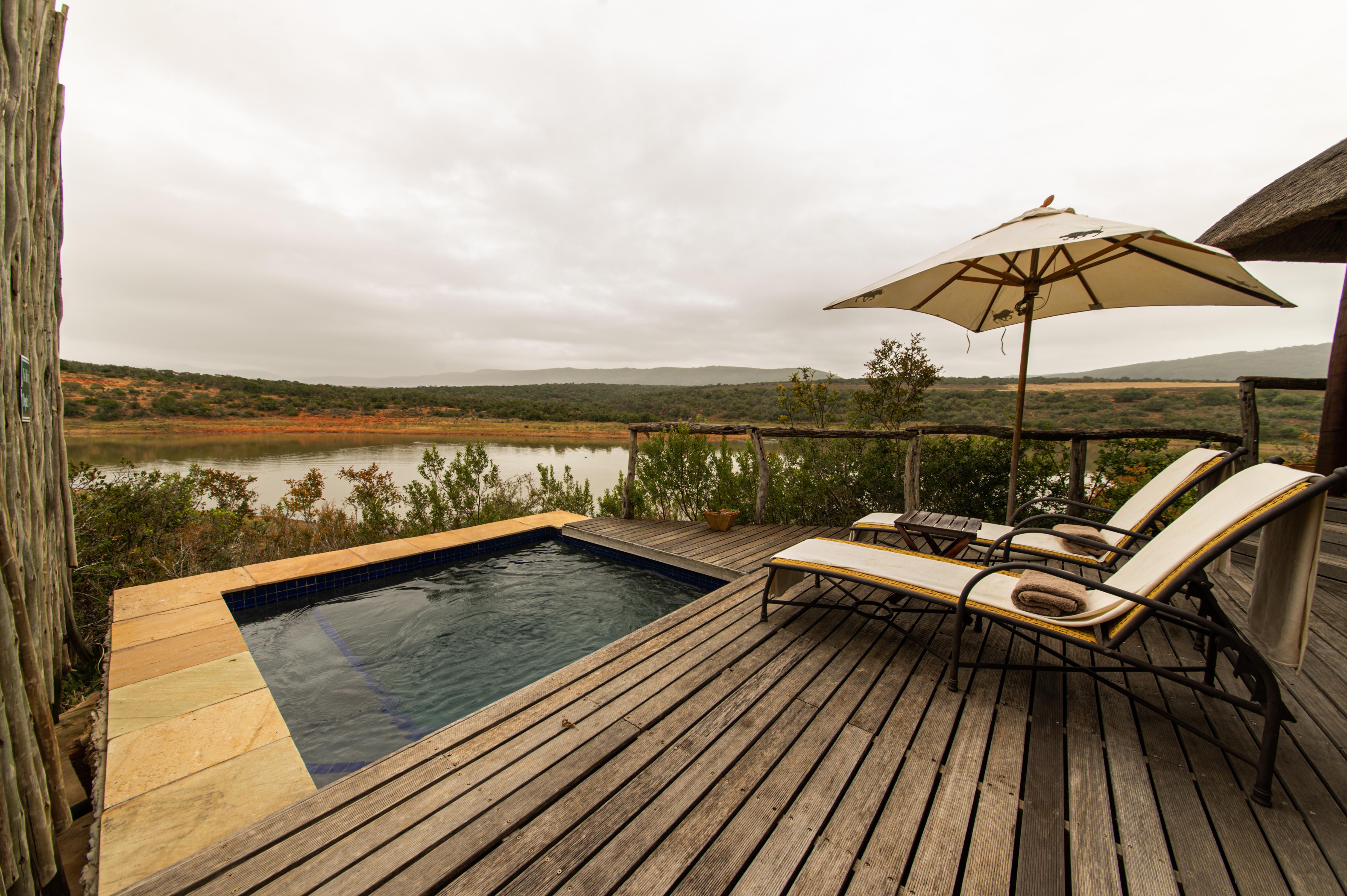 Pumba Private Game Reserve Port Elizabeth Esterno foto