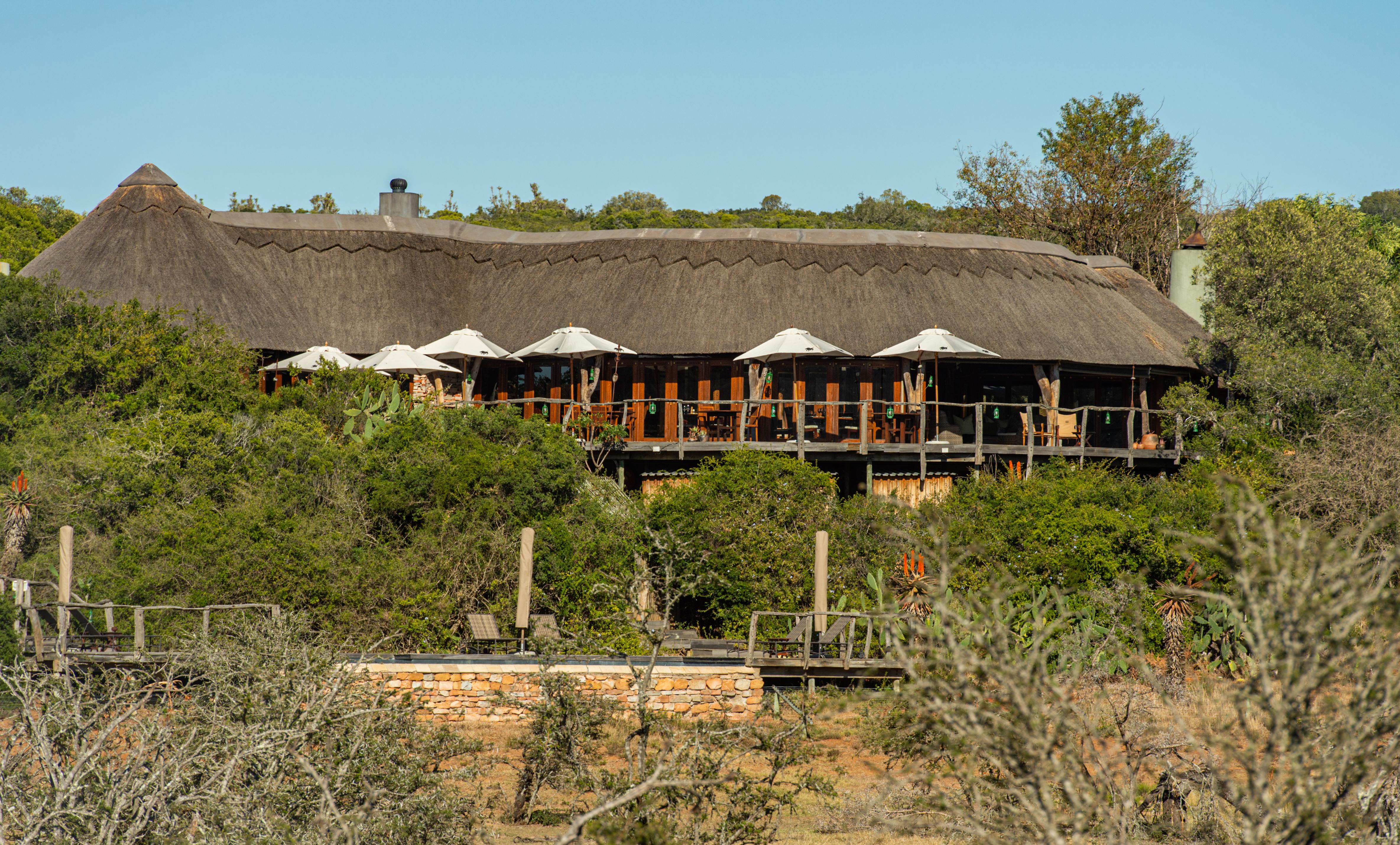 Pumba Private Game Reserve Port Elizabeth Esterno foto