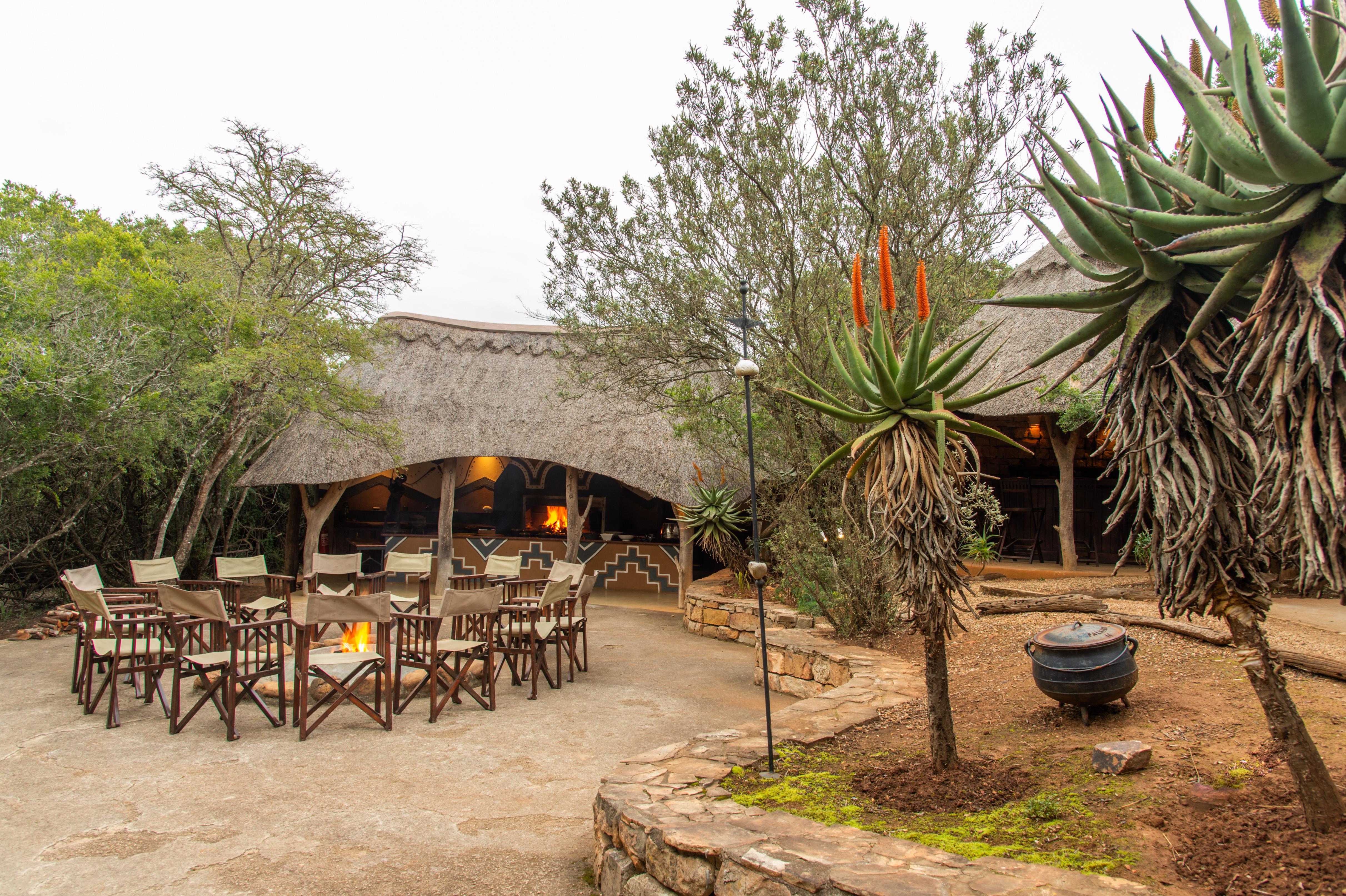 Pumba Private Game Reserve Port Elizabeth Esterno foto